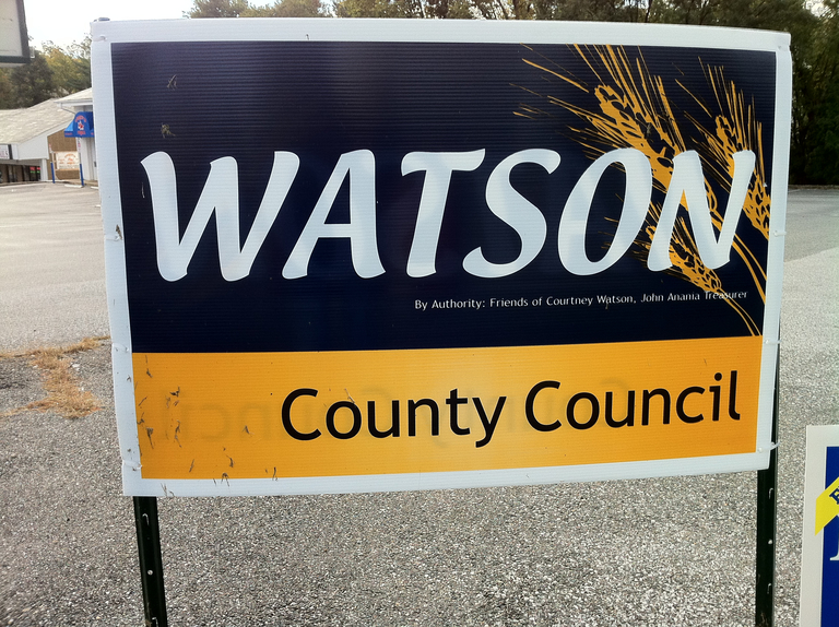 Courtney Watson for County Council (2010)