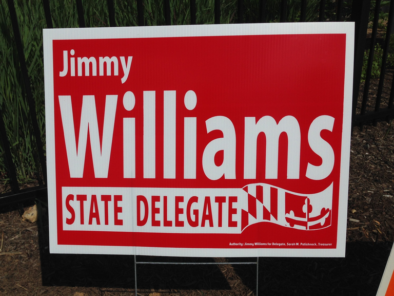 williams-delegate-13-2014-small