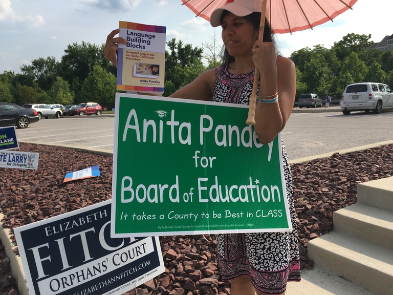 Anita Pandey campaign sign, 2018 elections