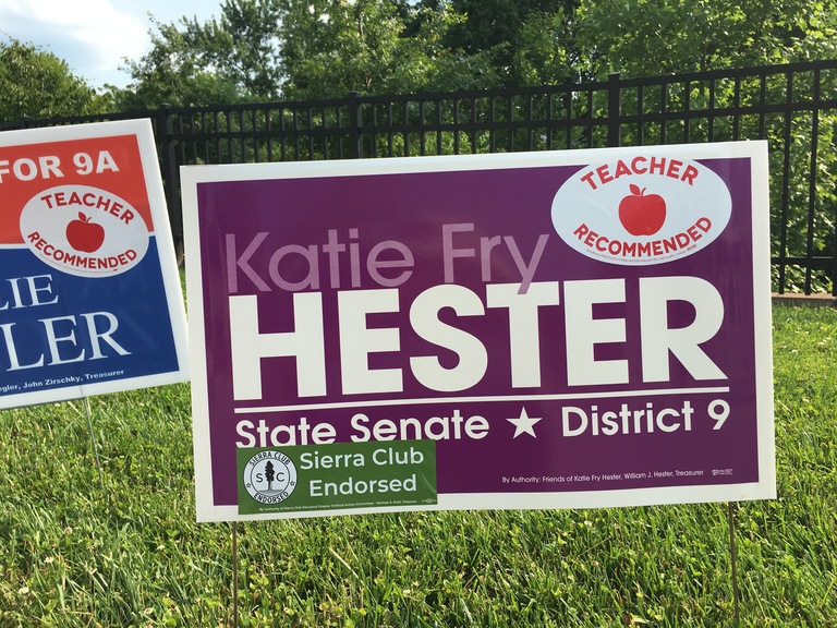Katie Fry Hester campaign sign, 2018 elections