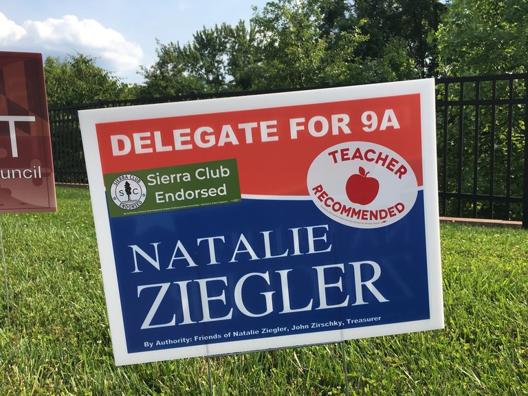 campaign sign, 2018 elections