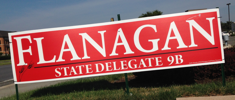 flanagan-delegate-9b-2014-large