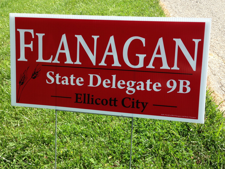 flanagan-delegate-9b-2014-small
