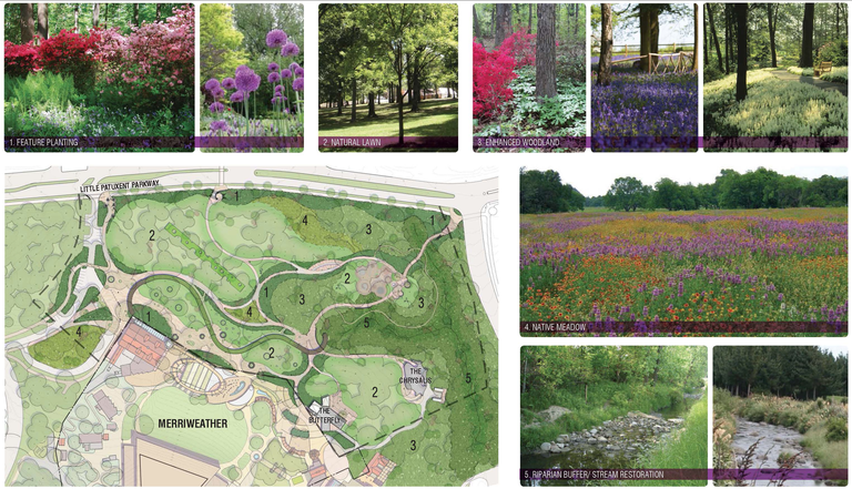 The planting design for Merriweather Park at Symphony Woods. (Click for a higher-resolution version.)  The lanscape in each numbered area will be restored with the appropriate plantings. Image © 2014 Inner Arbor Trust; used with permission.