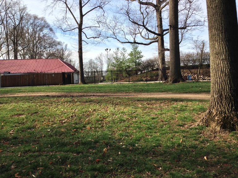 Merriweather Post Pavilion fence as viewed from Symphony Woods