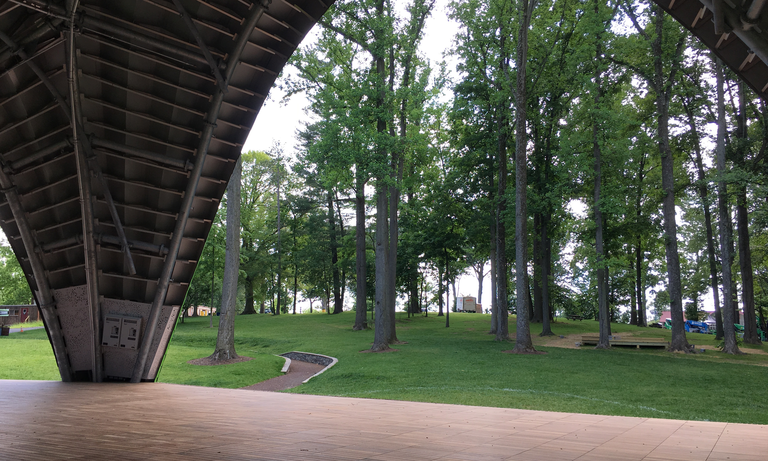 Looking up at the trees of Symphony Woods from the Chrysalis alpha stage. (Click for a higher-resolution version.) At the top of the hill is the location for the planned Butterfly guest services building. Image © 2017 Frank Hecker; available under the terms of the Creative Commons Attribution 4.0 International License.